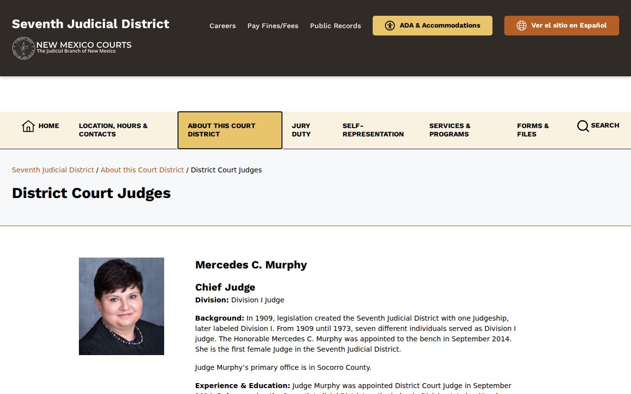 Socorro County criminal docket Seventh District judges page