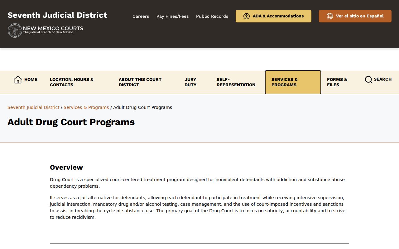 Socorro County criminal docket Adult Drug Court program information